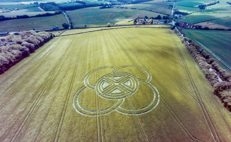 crop circles circulos cultivo