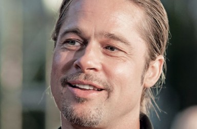 brad_pitt-384x253