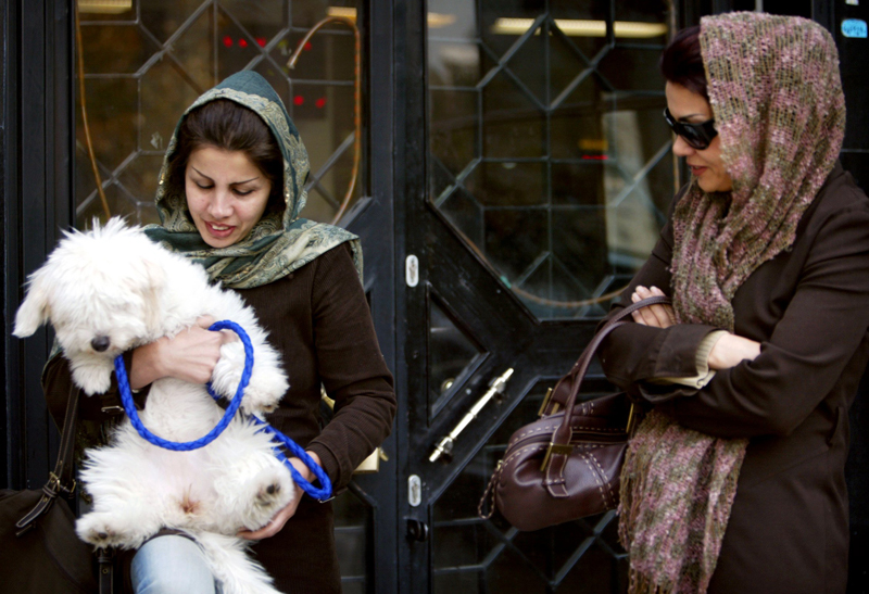 An Iranian woman stands in front of a bank as she holds a dog in Tehran November 13, 2005. The entrance of dogs and other pets into governmental buildings is prohibited in Iran. REUTERS/Morteza Nikoubazl