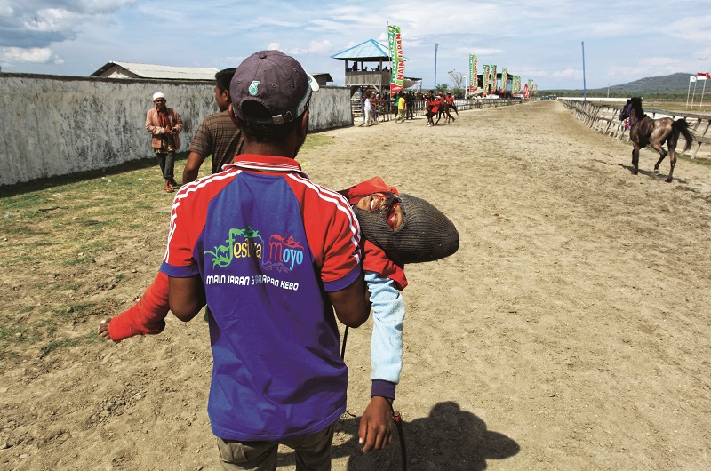 Durant le festival Moyo sur l'ile de Sumbawa en IndonÈsie, des courses hippiques sont organisÈes durant une semaine sur l'hippodrome de Sumbawa Besar, la capitale rÈgionale. Les jockeys sont des enfants et ont entre 5 et 12 ans. Abi, ‚gÈ de 10 ans, a ÈtÈ grievement blessÈ au visage par le sabot d'un cheval lors d'une chute dans le peloton d'arrivÈe.