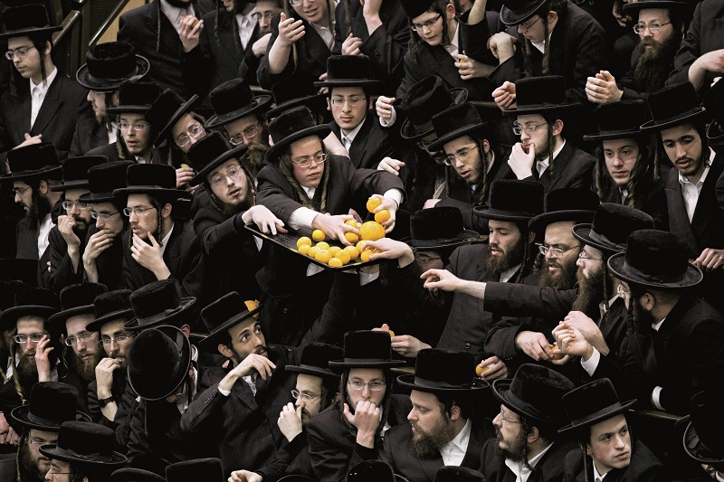 epa05600504 YEARENDER 2016 JANUARY Ultra-Orthodox Jews from the Beltz Hasidic dynasty grab oranges as they celebrate the Jewish feast of Tu Bishvat, or 'Tree New Year', with rabbis in an Ultra-Orthodox neighborhood of Jerusalem, Israel, 25 January 2016. EPA/ABIR SULTAN