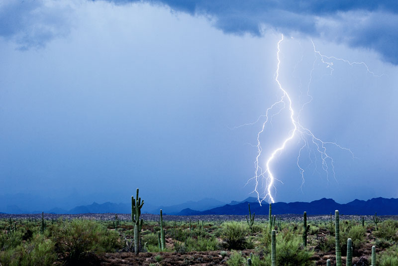 cazador de tormentas