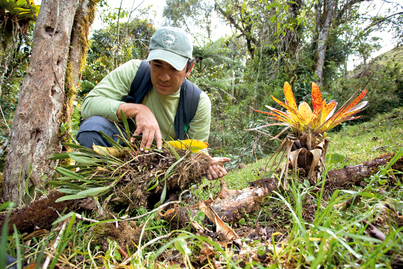 Alonso Quevedo, conocer, naturaleza, ranas