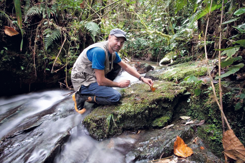 Robin Moore, conocer, naturalez