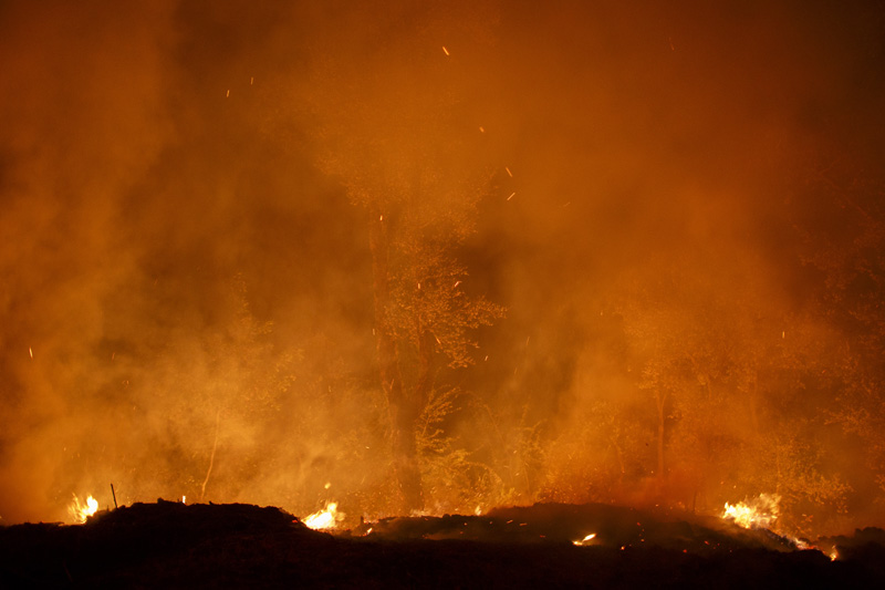 Conocer naturaleza, incendios, Galicia