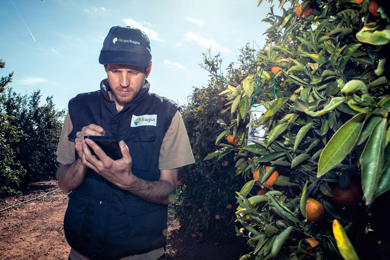 conocer, naturaleza, plagas, agricultura, biotecología, xlsemanal