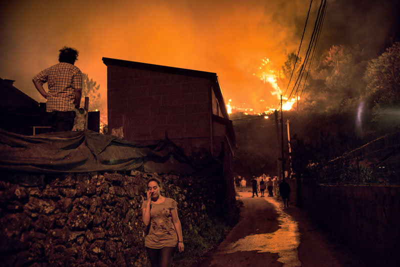 actualidad, galicia, incendios, motivos, terrorismo incendiario, xlsemanal, (2)