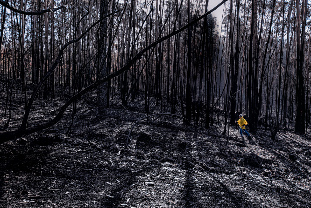 actualidad, galicia, incendios, motivos, terrorismo incendiario, xlsemanal, (2)