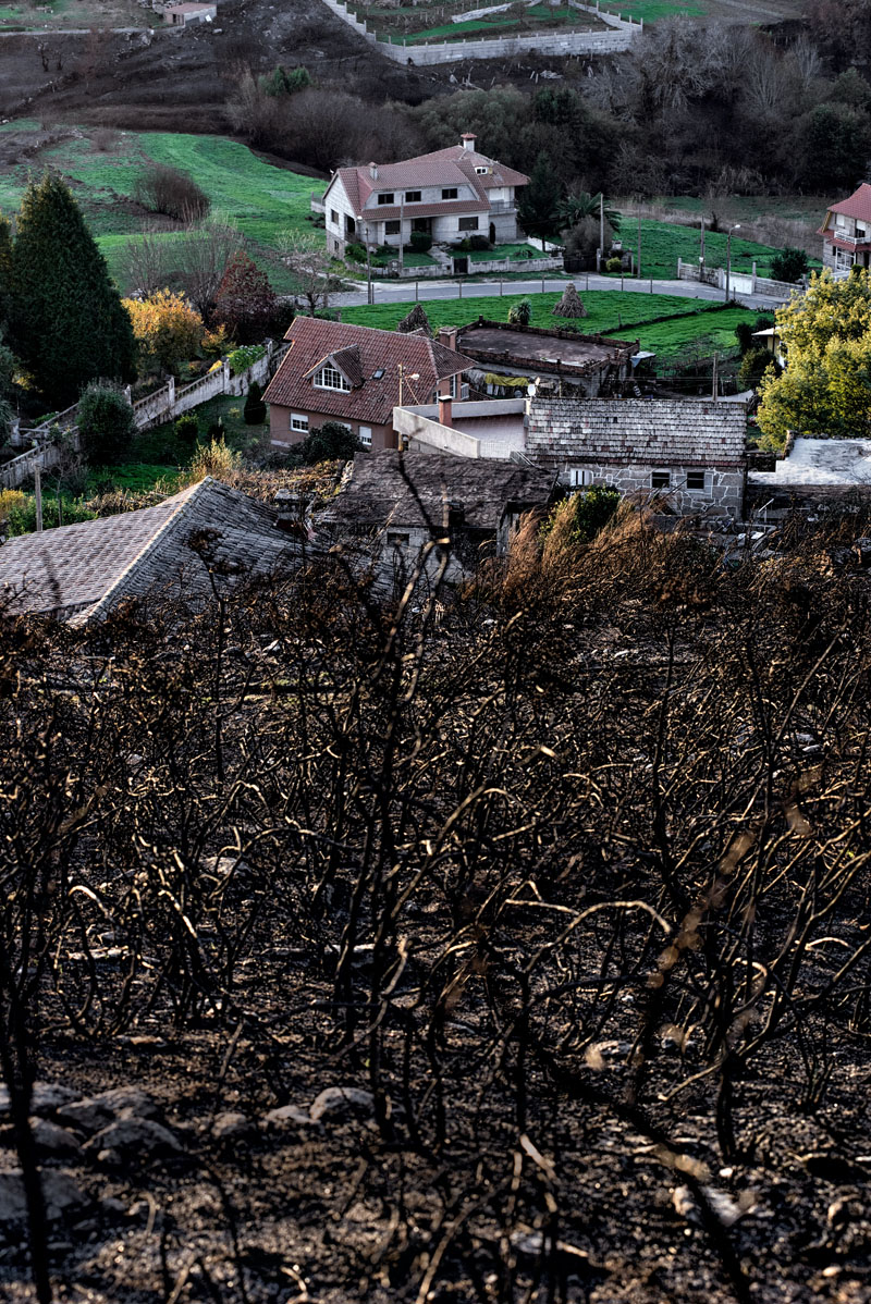 actualidad, galicia, incendios, motivos, terrorismo incendiario, xlsemanal, (2)