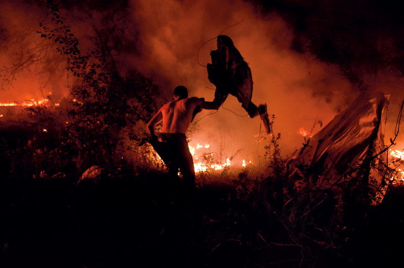 actualidad, galicia, incendios, motivos, terrorismo incendiario, xlsemanal, (2)