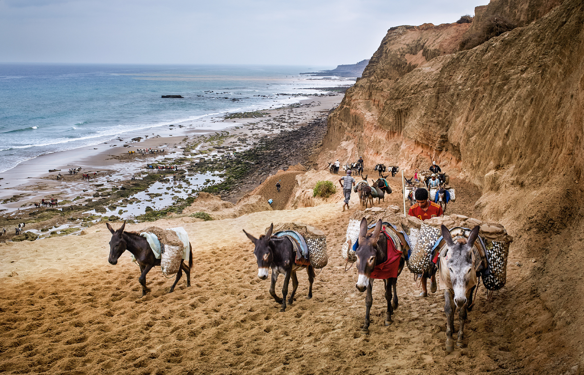 escasez de arena, saqueo de las playas