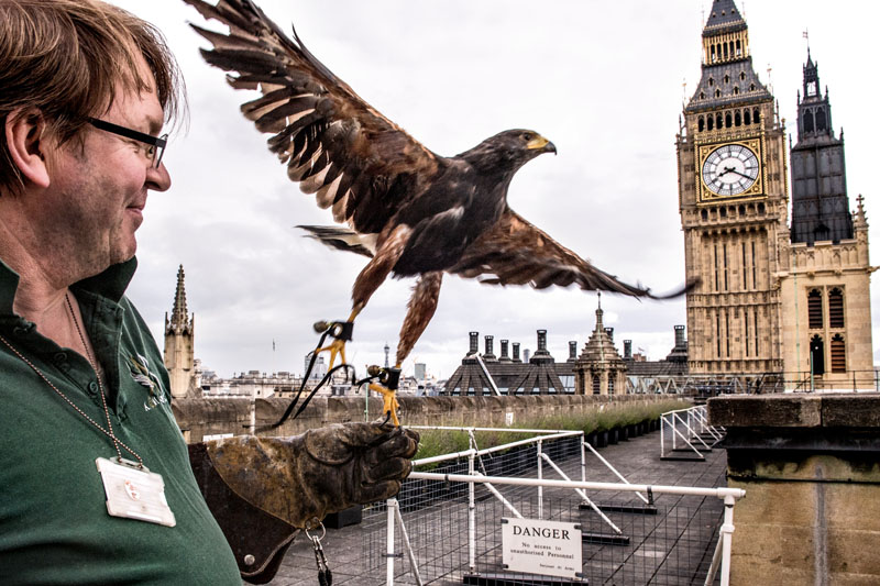 reparaciones del big ben, se cae a pedazos