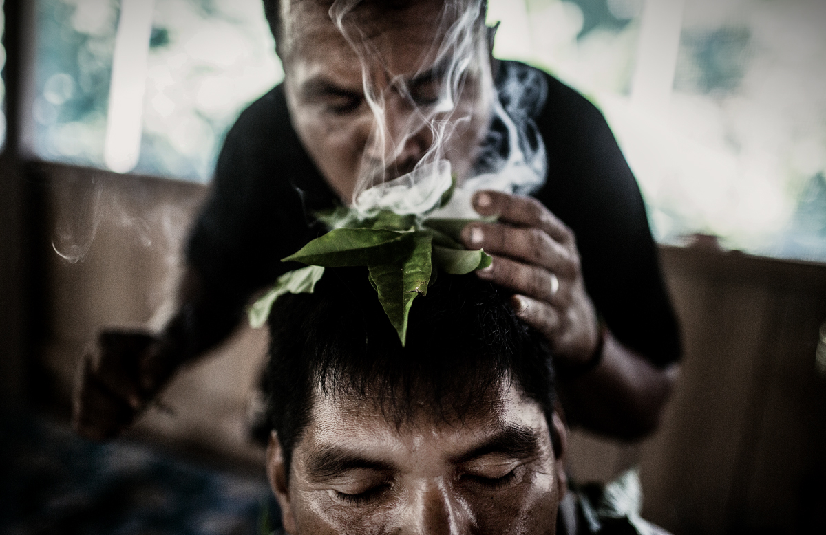 droga ayahuasca, el alucinogeno de moda (9)