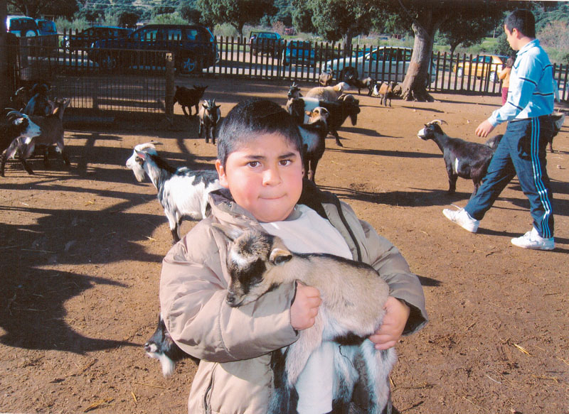 mi hijo mi maestro, isabel gemio