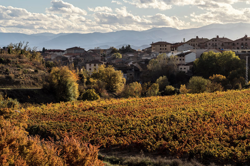 villabuena vino (2)