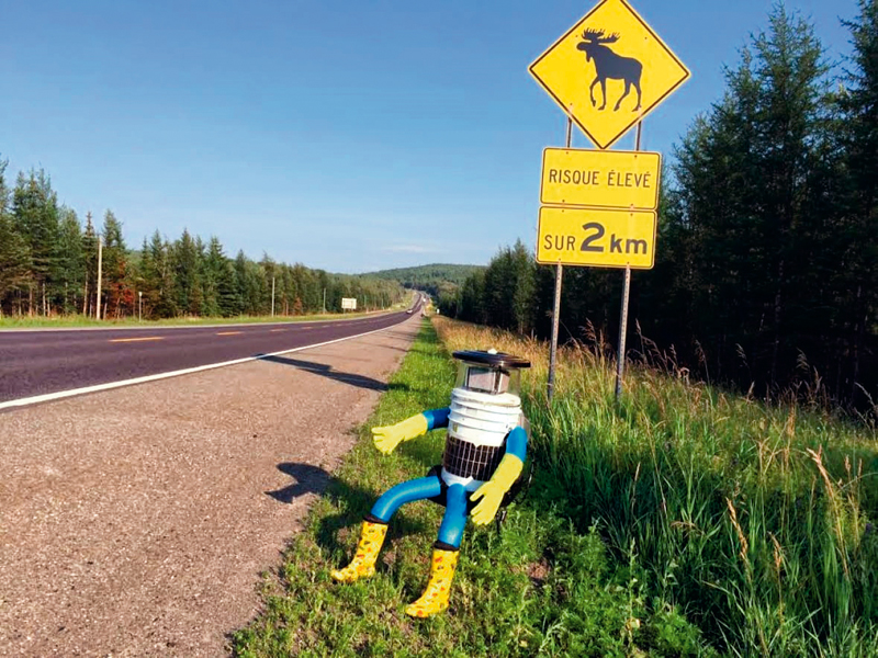 hitchbot