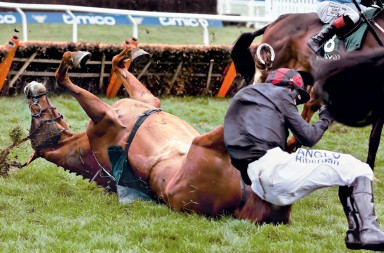 ¿Por qué mueren tantos caballos de carreras?