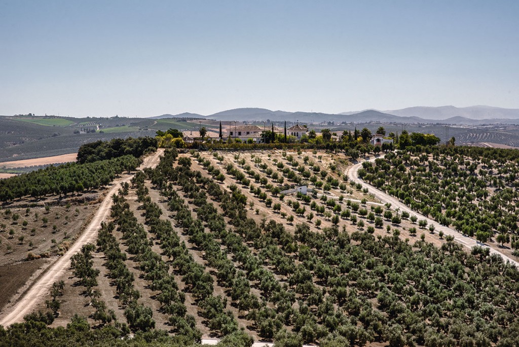 Proyecto Ödos en Córdoba: un oasis contra la trata 5