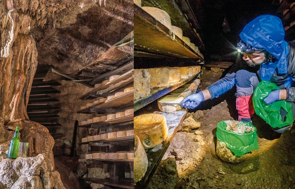 Los secretos del cabrales Teyedu: uno de los quesos más caros y mejores del mundo 1