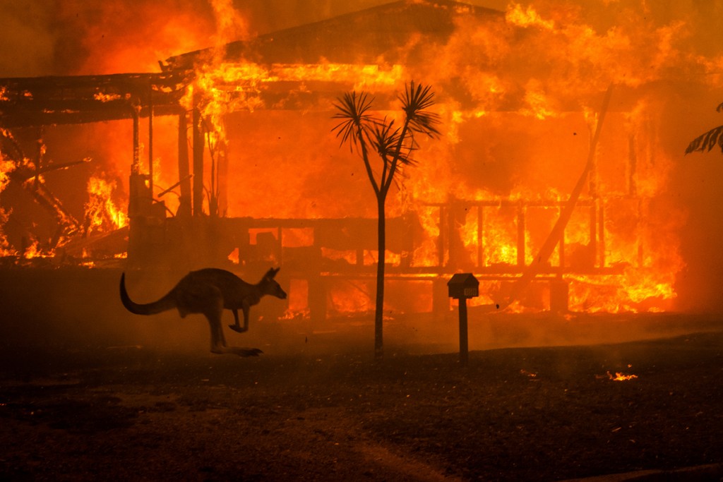 Australia, huir del infierno 1