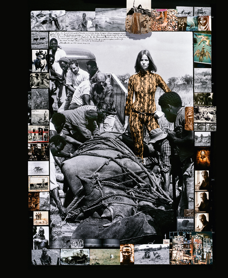 Peter Beard, el último aventurero 1