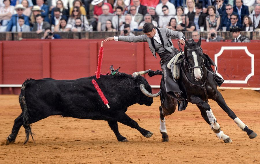 Léa Vicens, una mujer en la corte del rejoneo 5