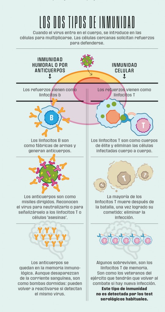 Los científicos han encontrado un inesperado aliado contra el coronavirus 3