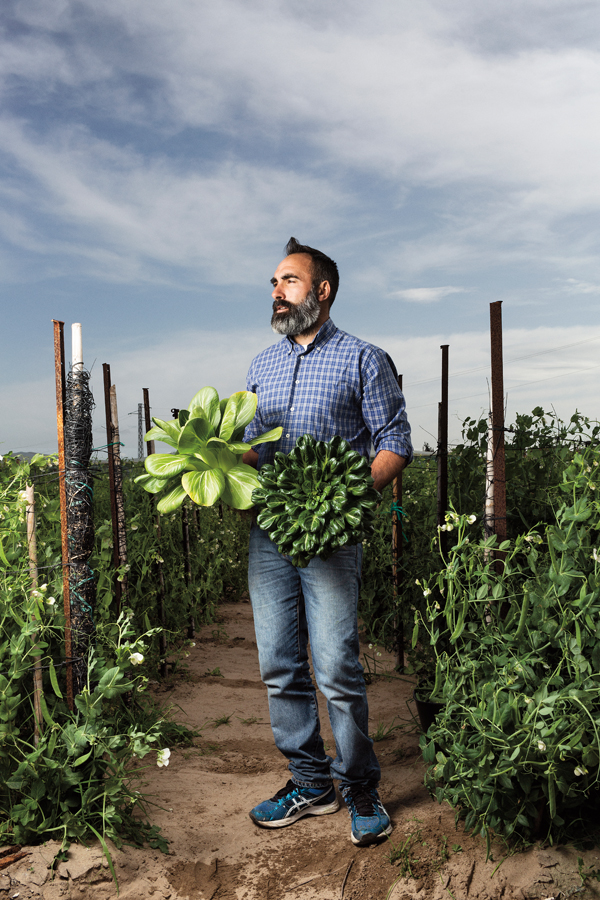 ¡Salvemos las verduras imperfectas! 1